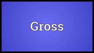 Gross Meaning