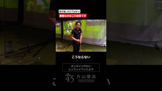 グリップで重要な握る力の目安 #片山晋呉 #golf #ゴルフ #shorts