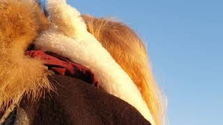 Misty Summer Solstice At Stonehenge 2019