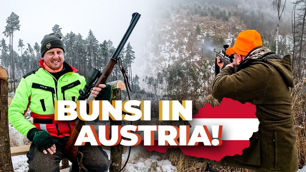 Drückjagd auf Schwarzwild & Raubwild - Bunsi ist zu Gast! #nordjagd