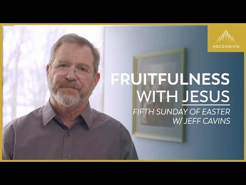 The Meaning of Jesus as the Vine – Jeff Cavins' Reflection for the Fifth Sunday of Easter (Year B)