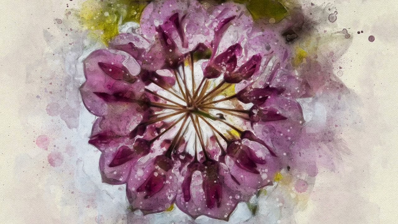 Iyakuh & A Path Untold - Logo ( ft. POAN ) | Folktronica | Organic Downtempo adlı videoyu YouTube'da izle Iyakuh & A Path Untold - Logo ( ft. POAN ) | Folktronica | Organic Downtempo adlı videoyu YouTube'da izle