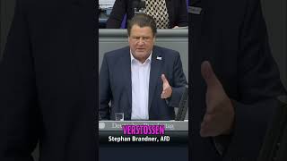 AfD lehnt Gesetzentwurf ab: Politik der Täuschung kritisiert #shorts