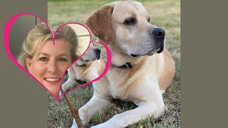 Where Is Maggie Murdaugh's Favorite🐕 Bubba NOW