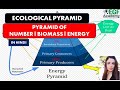 Ecological Pyramid l Pyramid of Number l Pyramid of Biomass l Pyramid of Energy l UPSC IAS English