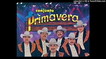 Conjunto Primavera - Corridos Pa'Pistear Agusto🍻🎶🔥