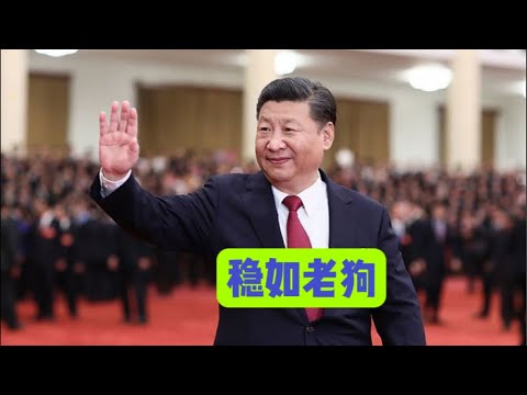 习近平稳如老狗，李强洞若观火。政治局会议没开完，六省联动利益如何分？【国务院海外发言人】 - YouTube