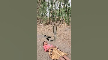 इच्छाधारी नागिन का बदला🐍😭#shorts #youtubeshorts #snake #naagin #nagin #bhakti #hearttouching #viral