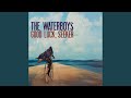The Waterboys - Good Luck, Seeker