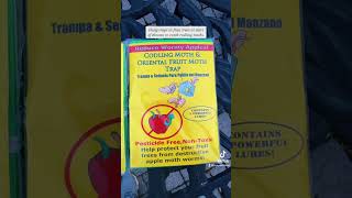 Prevent wormy apples on your trees without using pesticides. Here is how …