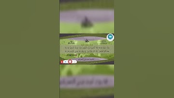 🌙 تلاوة تهز القلوب | استمع بقلبك لآيات من القرآن الكريم بصوت خاشع مؤثر#quran #قرآن #اكسبلور