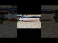 Amazing Woodturning | Satisfying Wood Lathe Process #shorts