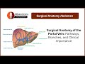 Surgical Anatomy of the Portal Vein: Pathways, Branches, and Clinical Importance