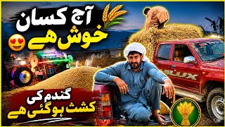 Aj hum ne gandum kasthat kar li || Wheat cultivation in jammu and kashmir #villagelife Aj hum ne gandum kasthat kar li || Wheat cultivation in jammu and kashmir #villagelife
