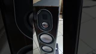 The beautiful Monitor Audio Gold 200 5G!