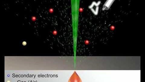 ZEISS - VPSE detector