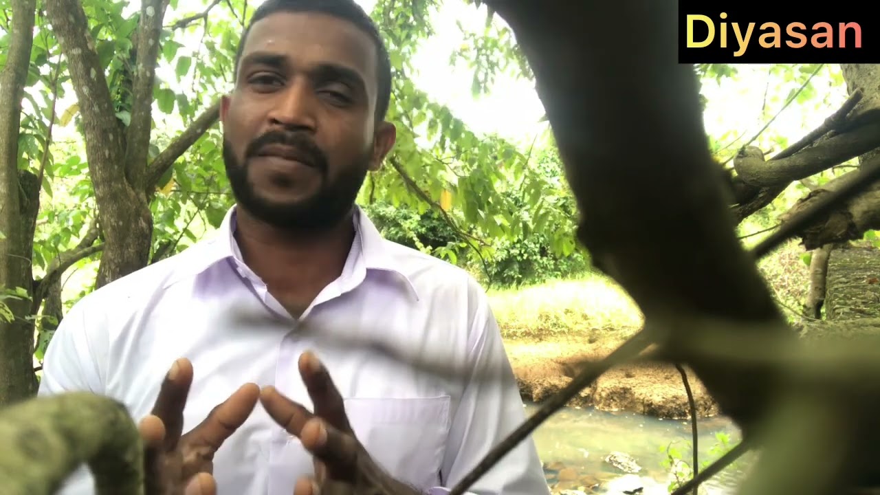 #spa#travel දියසෙන්