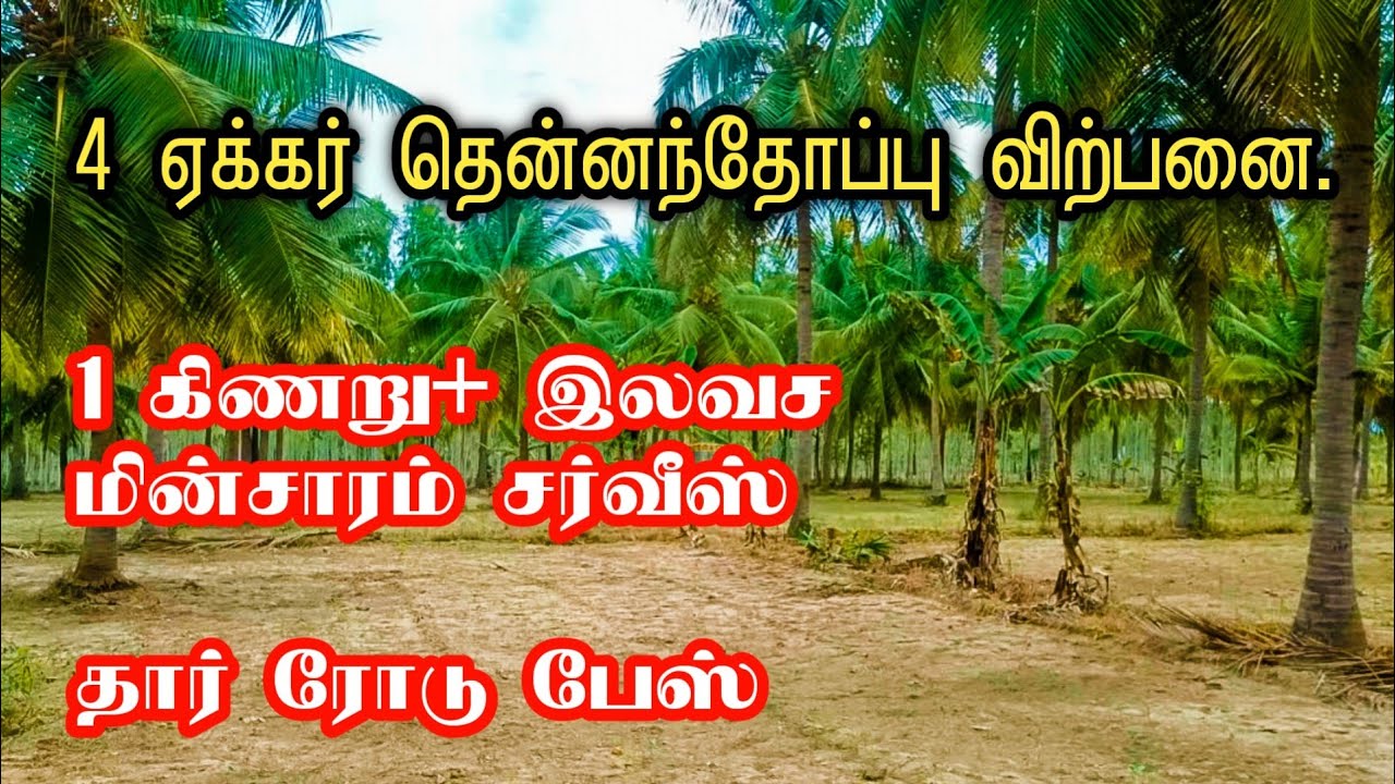 4 Acer Coconut farm land sale in salem YouTube