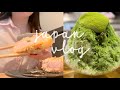 japan vlog / 일본에서 상견례 준비, 맛차빙수, 전국5위 카츠집, 롯본기의 cafe Common☕️