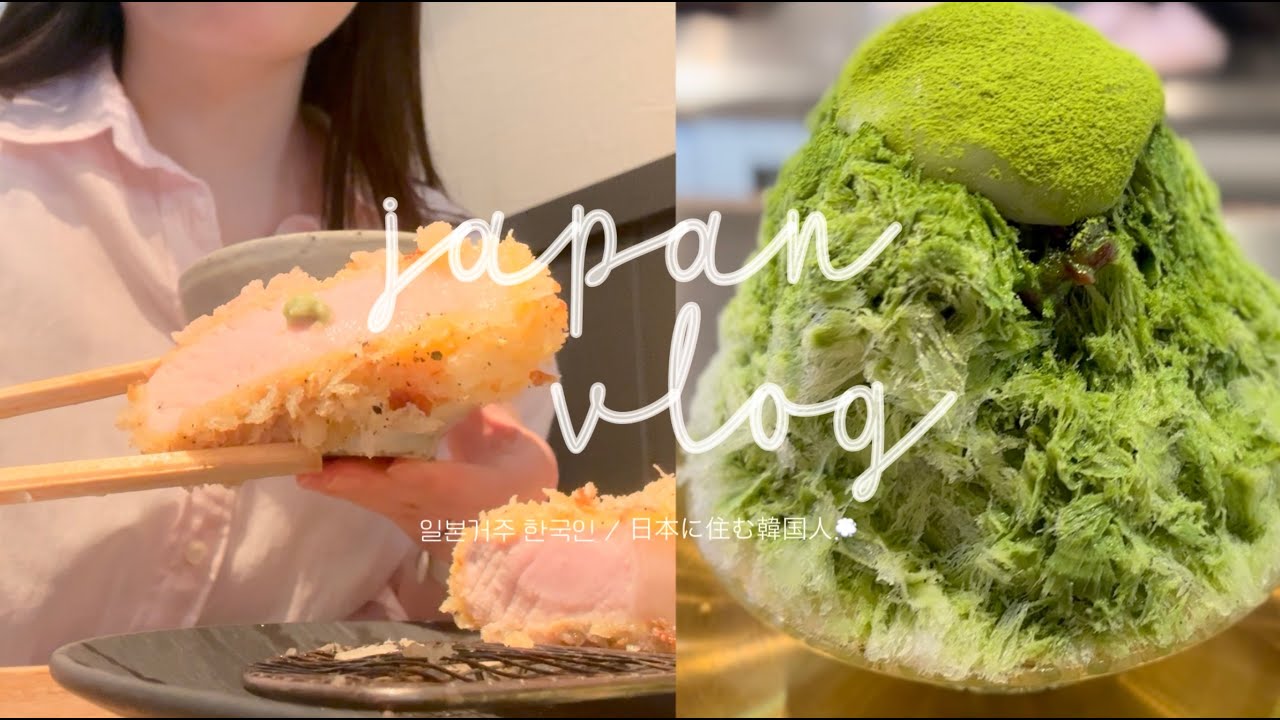 japan vlog / 일본에서 상견례 준비, 맛차빙수, 전국5위 카츠집, 롯본기의 cafe Common☕️