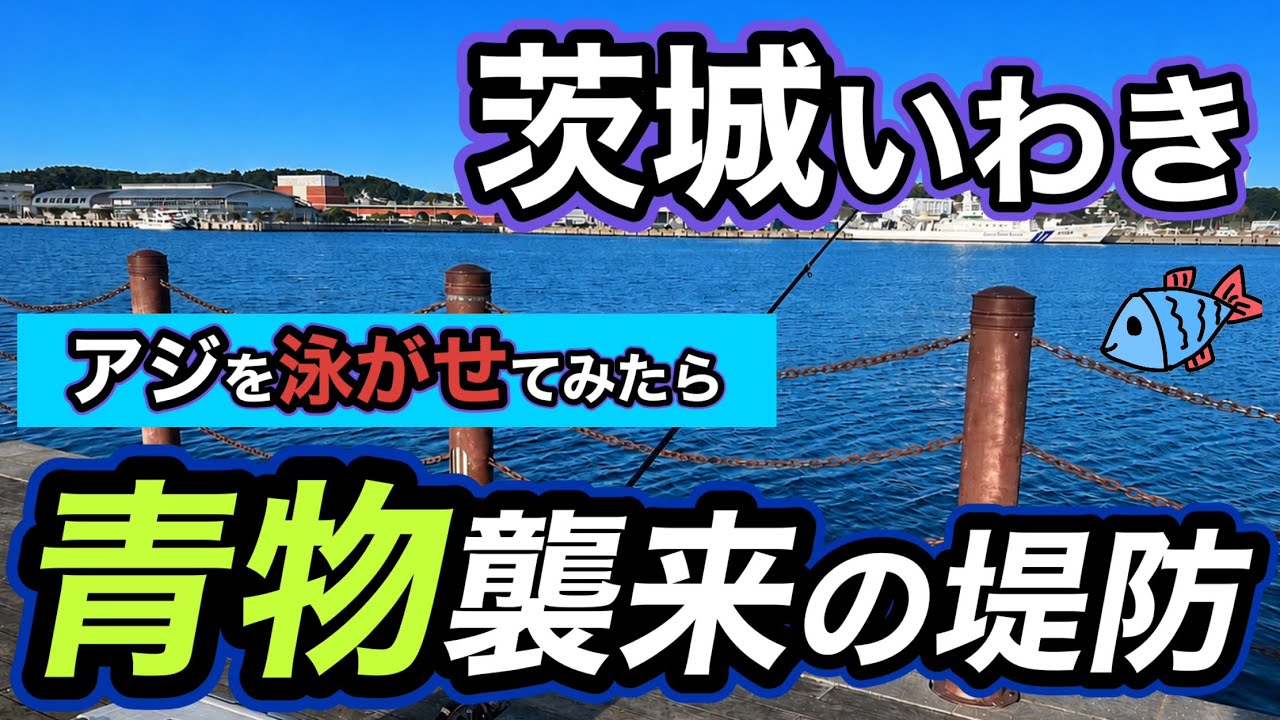 【茨城〜いわき釣り旅】青物が爆釣する港で朝からアジを泳がせたら大変な事になりました…