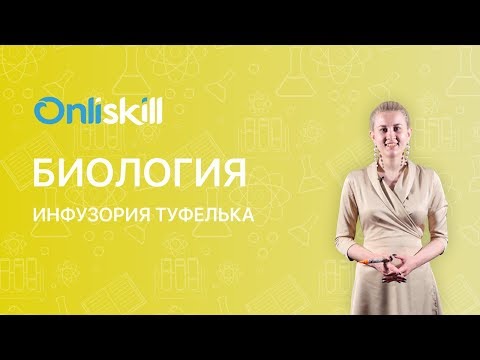 БИОЛОГИЯ 7 класс: Инфузория-туфелька | Видеоурок