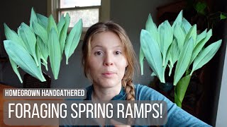 How to Sustainably Forage Ramps (and an update on Jordan's brain surgery)