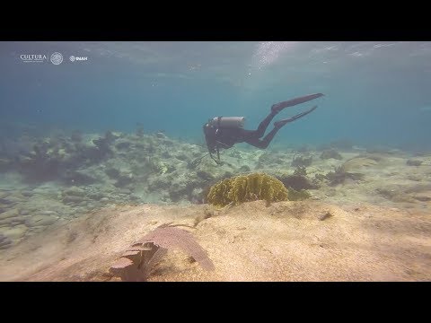 Investigación en arqueología subacuática en arrecifes