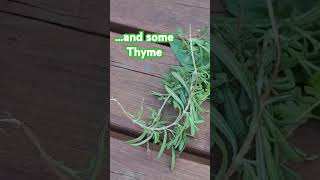 Herbs for my Hair Health ? rosemary thyme lemonbalm basil mint