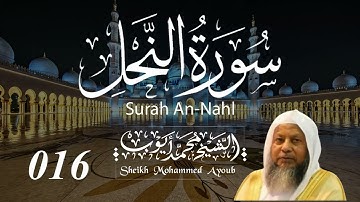 016 سورة النحل كاملة _ الشيخ محمد أيوب  | Suratun Nahl Complete _ Sheikh Mohammed Ayoub