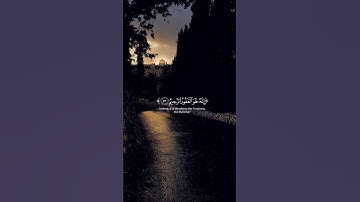 قرآن كريم🤍#quran #ماهر_المعيقلي #سورة_الزمر