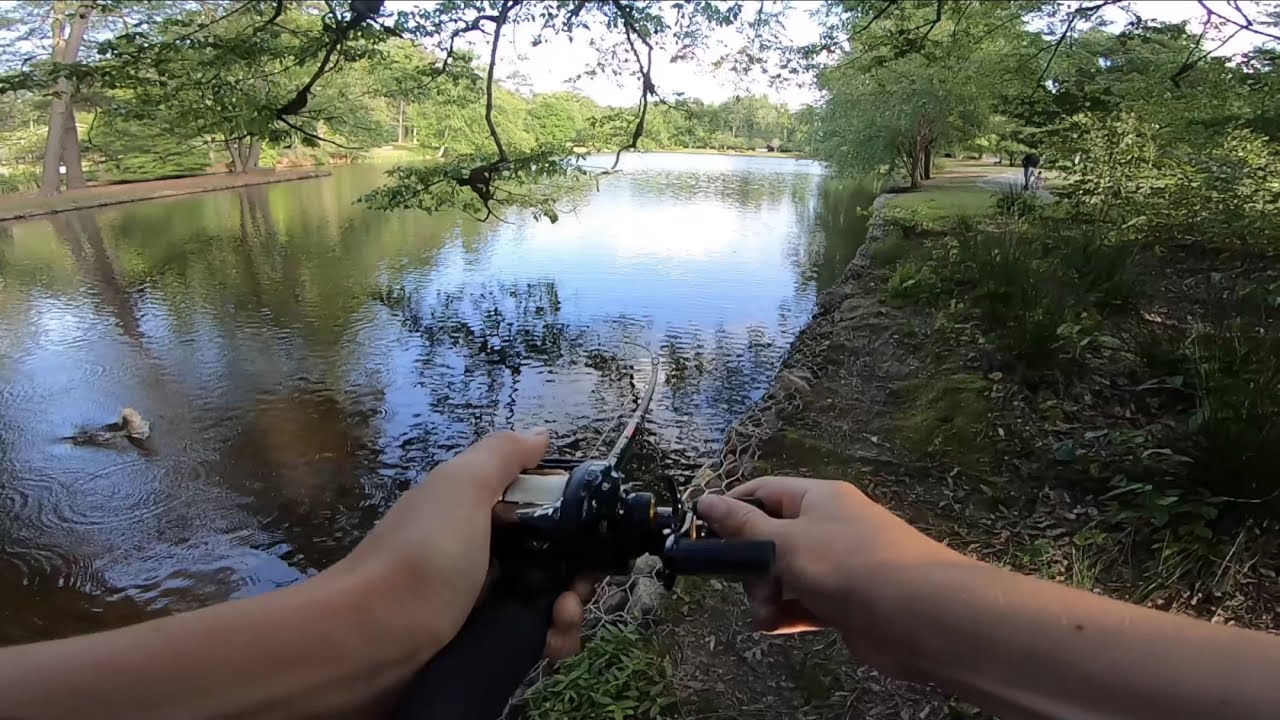Goture Travel Fishing Rod Review (Actually Fishing)