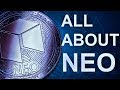 Crypto News Youtube : Crypto News: NFT & Dogecoin news - YouTube