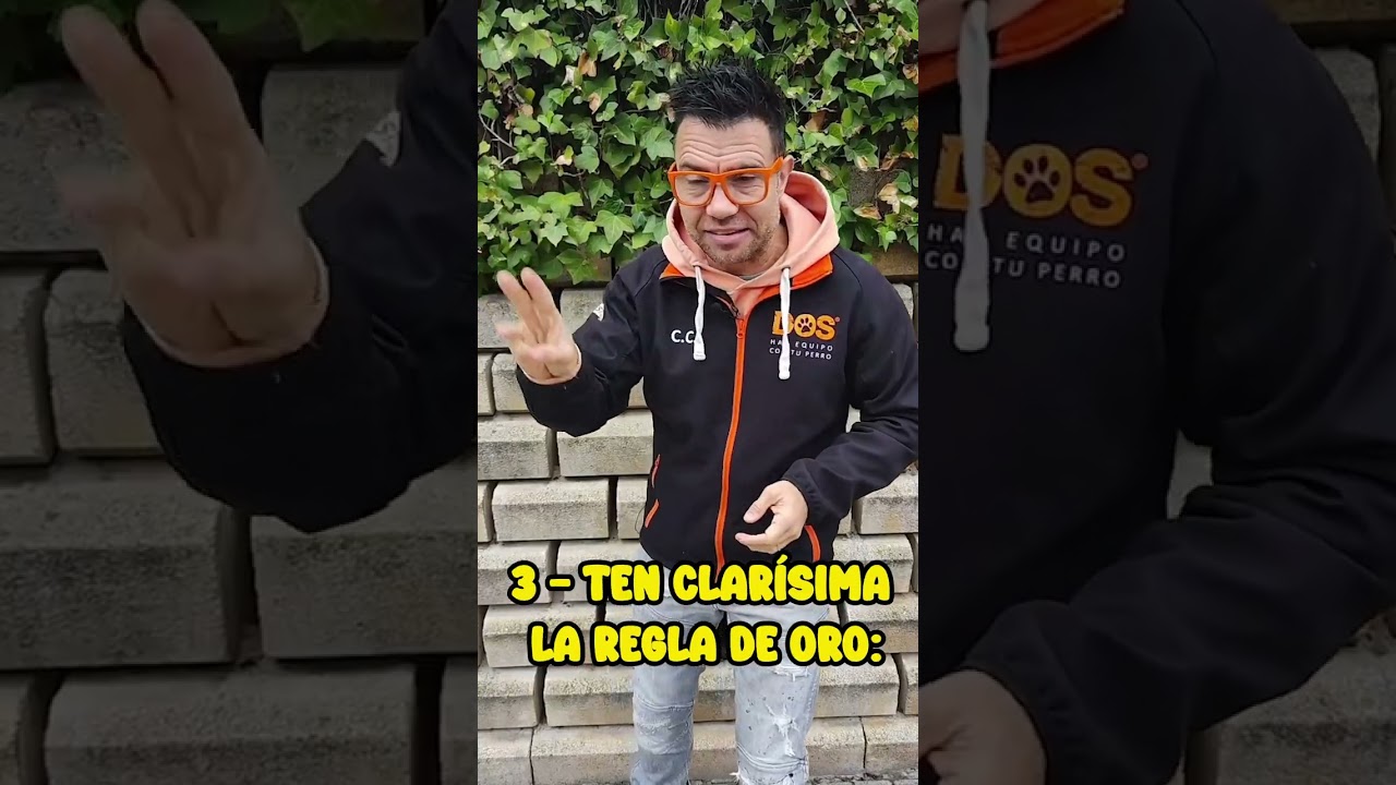 PASEO con correa SIN TIRONES ni LADRIDOS 🔝 | Adiestramiento Canino 🐶