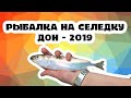 Рыбалка на селёдку Дон Май 2019