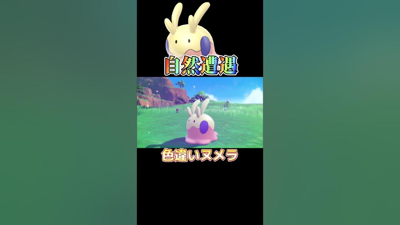 ミライの600族 野生の色違い に自然遭遇 ポケモンsv スカーレットバイオレット ひかおま無し サンドウィッチパワーなし Switch Shorts Youtube