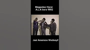Jaal Araarsoo Wadaay 