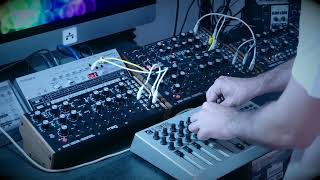 DFAM TECHNO x2 + Subharmonicon, Mother-32 and Roland tr-06 (techno) #moog #synthesizer #techno