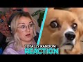 Sailor Moon Hops nehmen 😱✨... gar kein Bock Cringe Reaction auf #SailorMoon von #hallo_alexa_