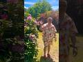 Sammi dorn garden EP #31 short videos