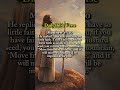 Daily Bible Verse📖❤️✝️#jesussaves #dailybibleverse #jesuslovesyou #repentandbelieve #jesusislord