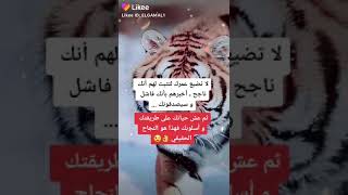 استوريات فخمه عبارات غرور كبرياء حالات واتساب حزينه حالات انستا حزينه ستوريات مضحكه