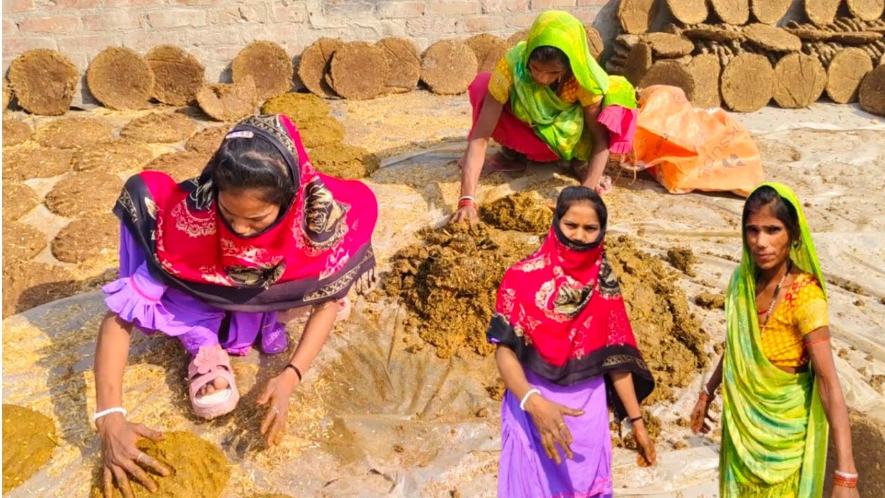 Gobar ke kandhe Village Life #Pnm Vlogs