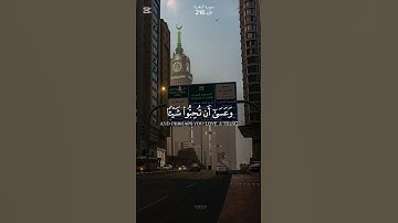 سورة البقرة الآية 216 #سورة_البقرة #القرآن_الكريم #احمد_العجمي