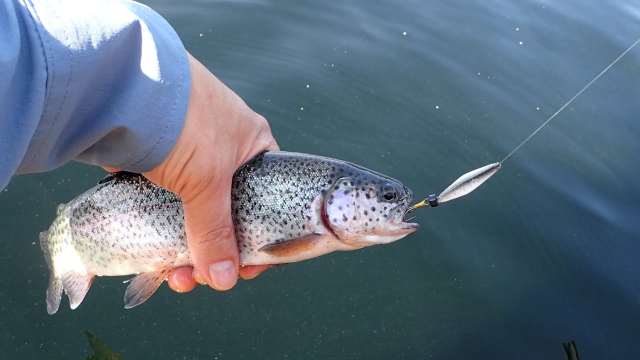 buzz bomb lure for lake trout Fire Orange Put SCIENCE on your side Catch Lake Trout with Buzz