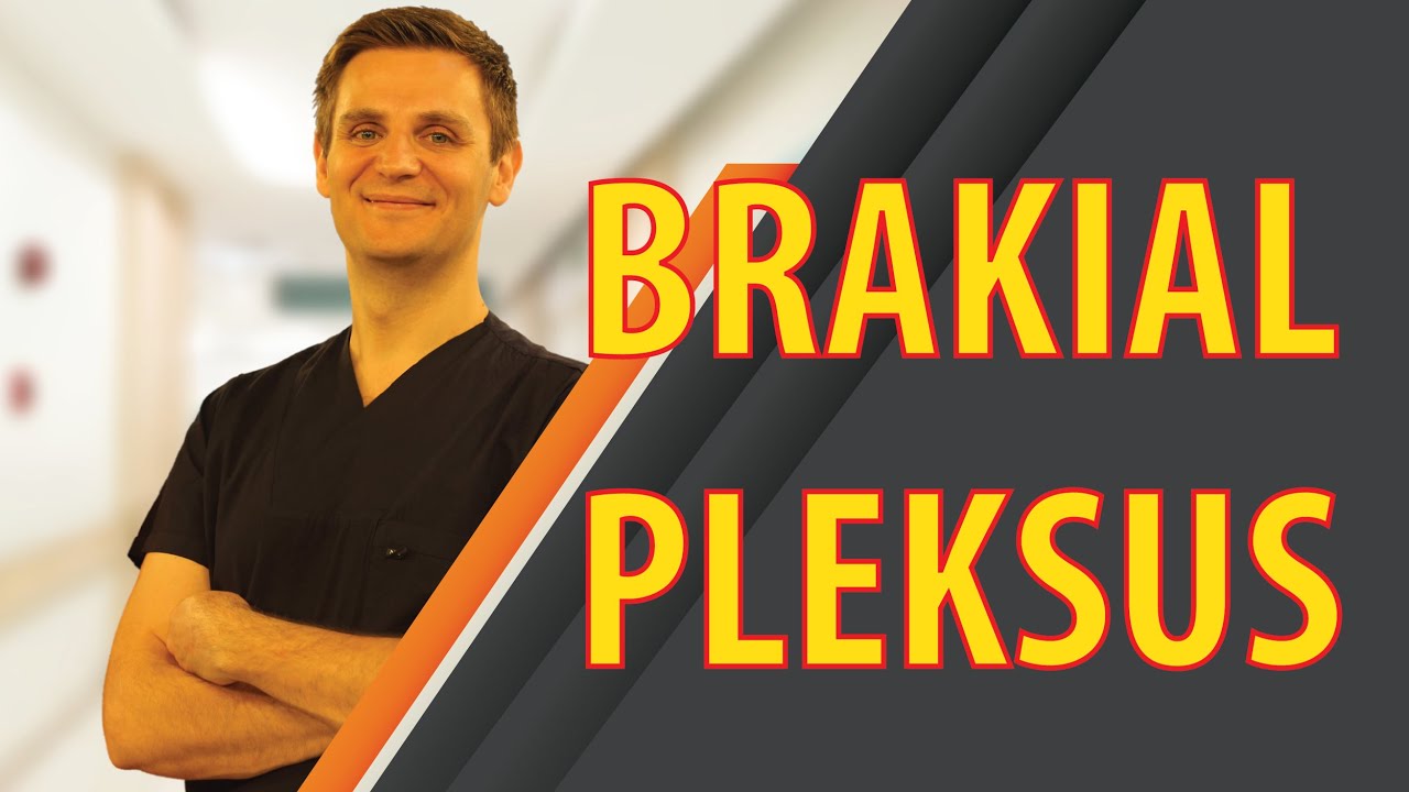BRAKIAL PLEKSUS SORUNLARI VE TEDAVİ YÖNTEMLERİ