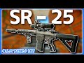【タルコフ】SR-25はハンドガードがかっこいい　タルコフ日記＃107 【ゆっくり実況】