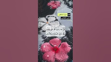 سورة المنافقون الآية 6-8