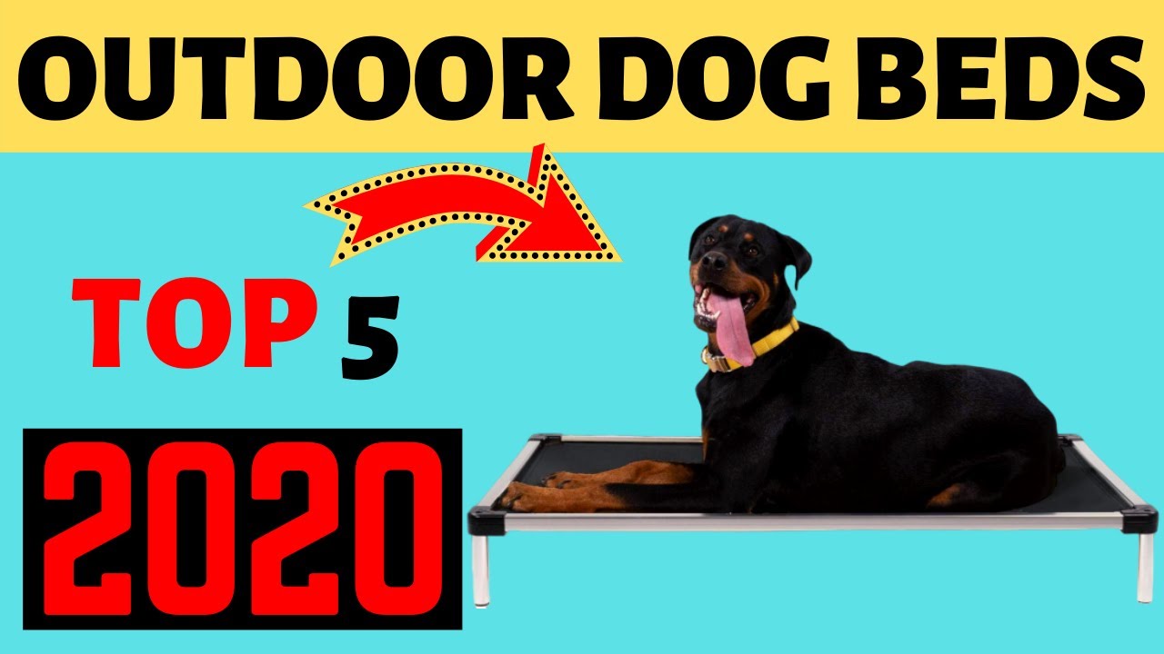 Best Outdoor Dog Beds 2020 Elevated Dog Bed Amazon YouTube