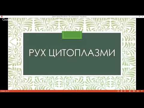 Рух цитоплазми